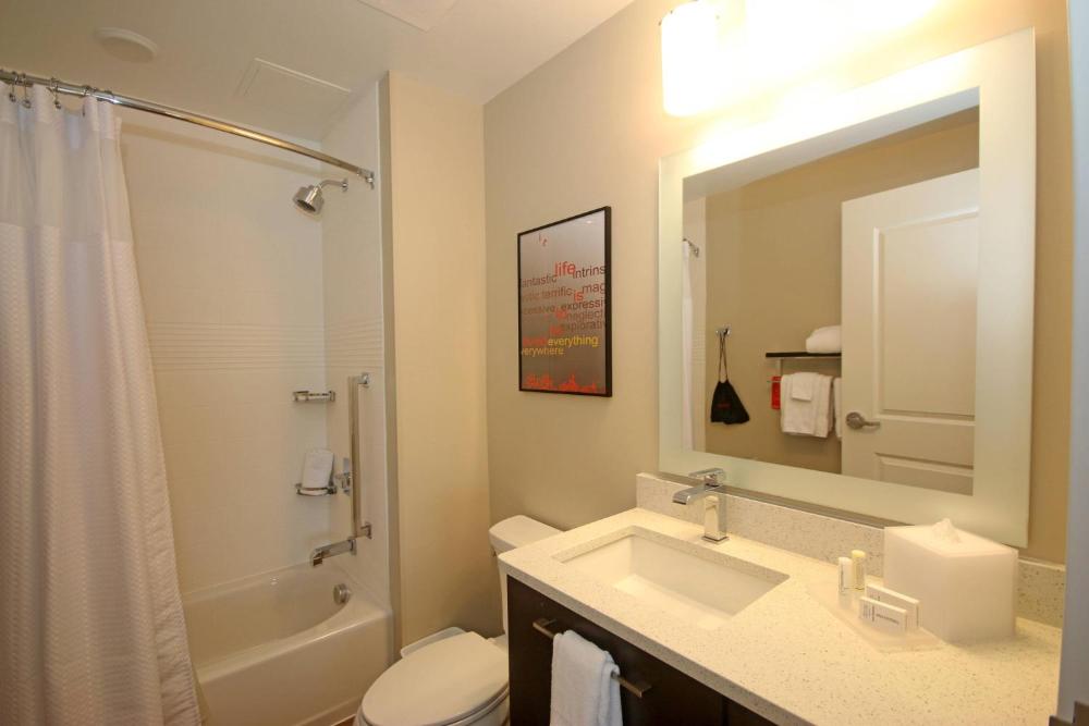 One-Bedroom Suite with Sofa Bed interior